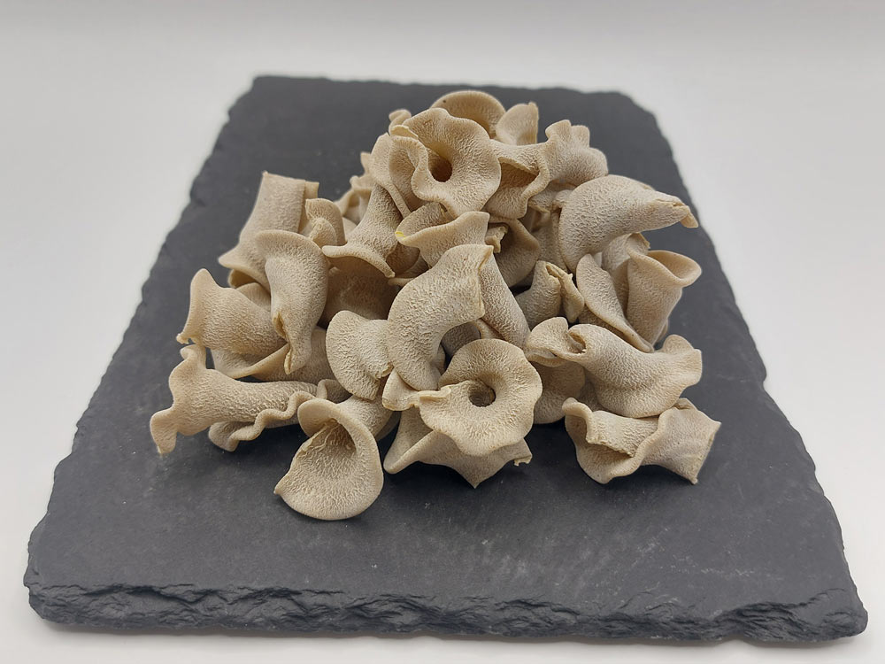 palasaca-ezcaray-pasta-de-boletus-edulis-con-forma-de-trompeta